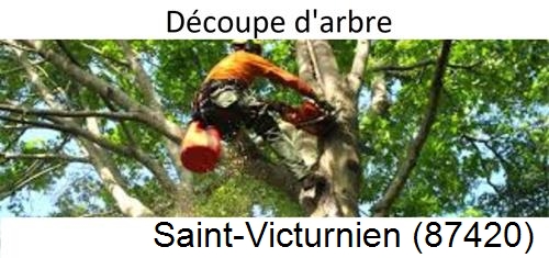 Entreprise du paysage Saint-Victurnien-87420