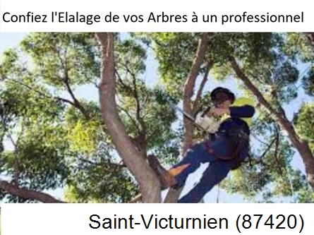 Société d'élagage à Saint-Victurnien-87420