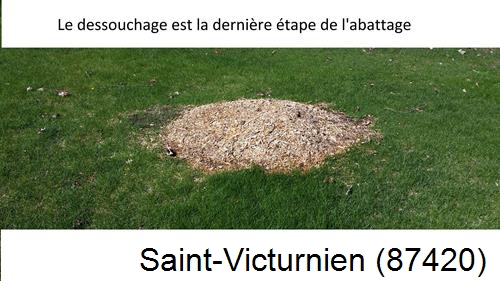 déssouchage d'arbres Saint-Victurnien-87420