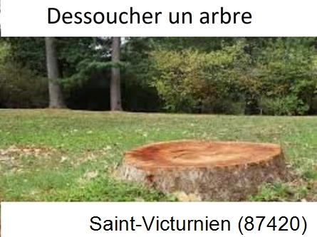 Travaux d'entretien extérieur Saint-Victurnien-87420