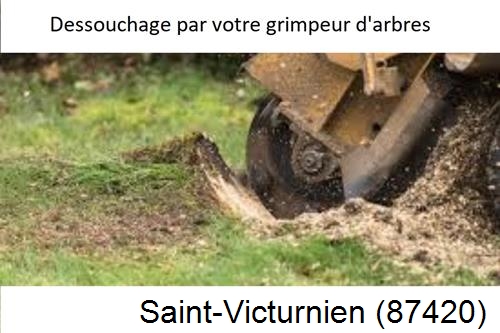 abattage d'arbres à Saint-Victurnien-87420