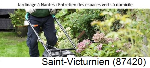 Travaux d'entretien exterieur Saint-Vitte-sur-Briance-87380