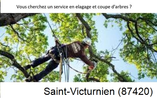 Etêtage d'arbres à Saint-Victurnien-87420