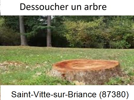 Travaux d'entretien extérieur Saint-Vitte-sur-Briance-87380