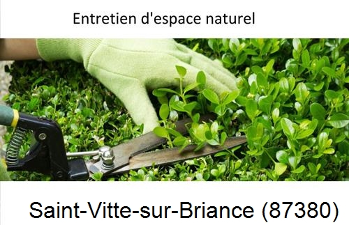 Rénovation jardin particulier Saint-Yrieix-sous-Aixe-87700