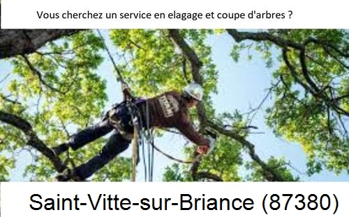 Etêtage d'arbres à Saint-Vitte-sur-Briance-87380