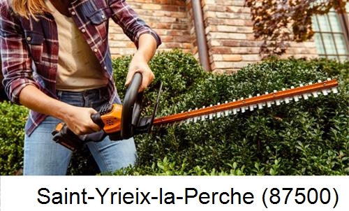 entretien jardin par paysagiste Saint-Yrieix-la-Perche-87500