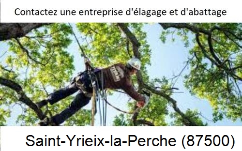 Travaux d'élagage à Saint-Yrieix-la-Perche-87500