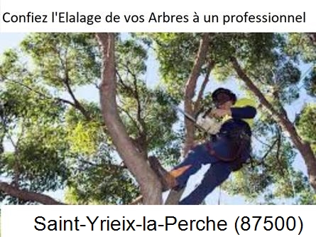 Société d'élagage à Saint-Yrieix-la-Perche-87500