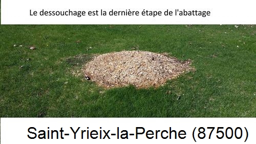 déssouchage d'arbres Saint-Yrieix-la-Perche-87500