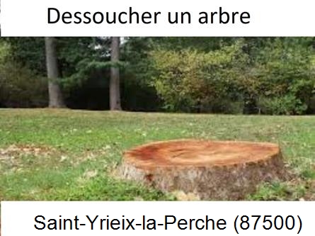 Travaux d'entretien extérieur Saint-Yrieix-la-Perche-87500