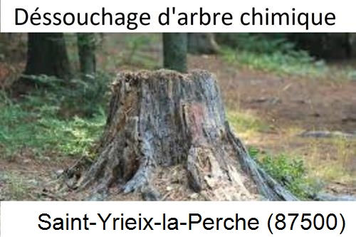 Elagueur déssouchage à Saint-Yrieix-la-Perche-87500