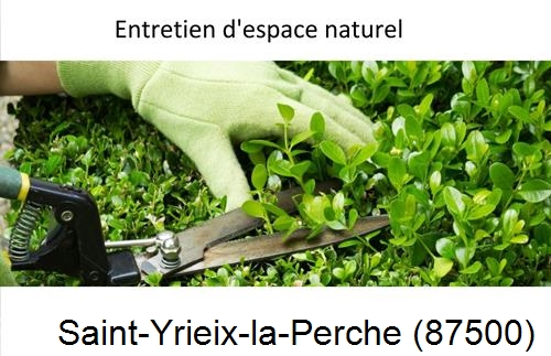 Rénovation jardin particulier Saint-Yrieix-la-Perche-87500