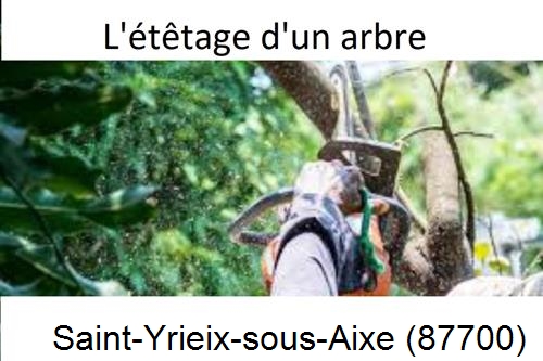 Artisan Abatteur d'arbres Saint-Yrieix-sous-Aixe-87700