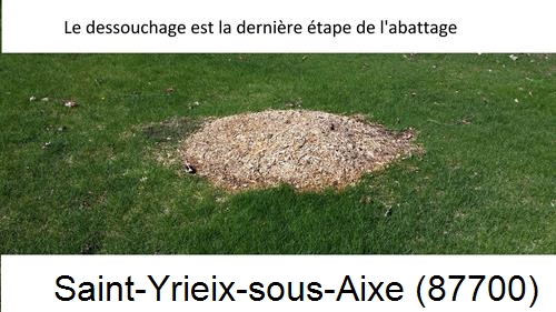 déssouchage d'arbres Saint-Yrieix-sous-Aixe-87700
