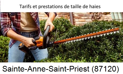 taille de haies Sainte-Anne-Saint-Priest-87120