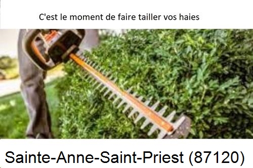Entreprise de paysage Sainte-Anne-Saint-Priest-87120
