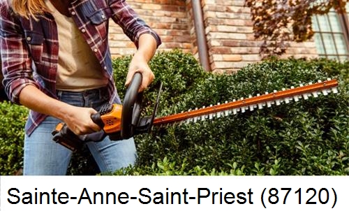 entretien jardin par paysagiste Sainte-Anne-Saint-Priest-87120