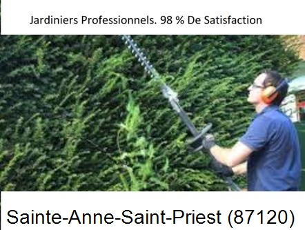 Paysagiste Sainte-Anne-Saint-Priest-87120