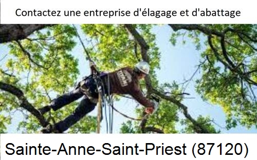 Travaux d'élagage à Sainte-Anne-Saint-Priest-87120