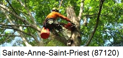 Entreprise du paysage Sainte-Anne-Saint-Priest-87120