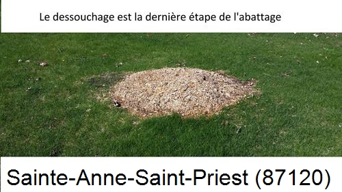 déssouchage d'arbres Sainte-Anne-Saint-Priest-87120