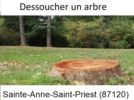 Travaux d'entretien extérieur Sainte-Anne-Saint-Priest-87120