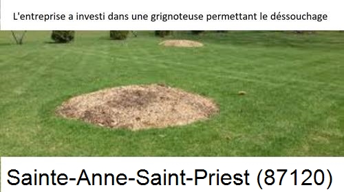 Artisan pour déssouchage d'arbres Sainte-Anne-Saint-Priest-87120