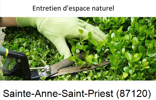 Rénovation jardin particulier Sainte-Marie-de-Vaux-87420