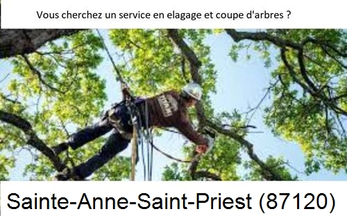 Etêtage d'arbres à Sainte-Anne-Saint-Priest-87120