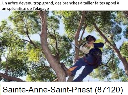Elagueur qualifié à Sainte-Anne-Saint-Priest-87120