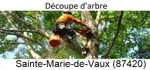 Entreprise du paysage Sainte-Marie-de-Vaux-87420