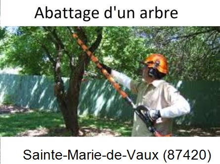 Etêtage et abattage d'un arbre Sainte-Marie-de-Vaux-87420