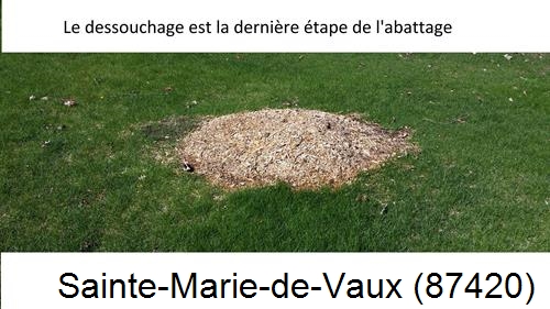 déssouchage d'arbres Sainte-Marie-de-Vaux-87420