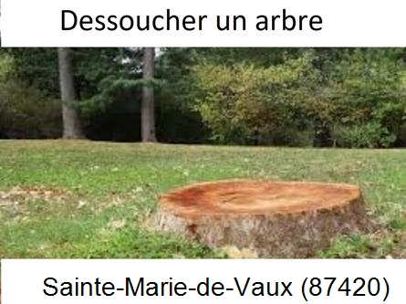 Travaux d'entretien extérieur Sainte-Marie-de-Vaux-87420