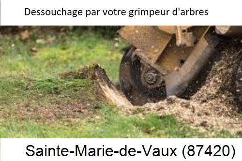 abattage d'arbres à Sainte-Marie-de-Vaux-87420