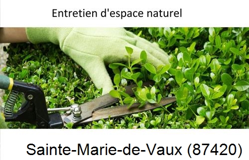 Rénovation jardin particulier Sauviat-sur-Vige-87400