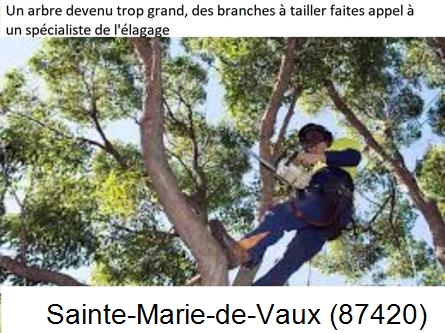 Elagueur qualifié à Sainte-Marie-de-Vaux-87420