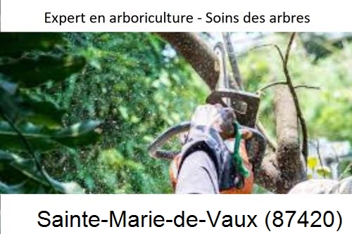 Elagage en sécurité à Sainte-Marie-de-Vaux-87420