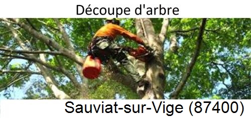 Entreprise du paysage Sauviat-sur-Vige-87400