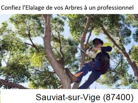 Société d'élagage à Sauviat-sur-Vige-87400