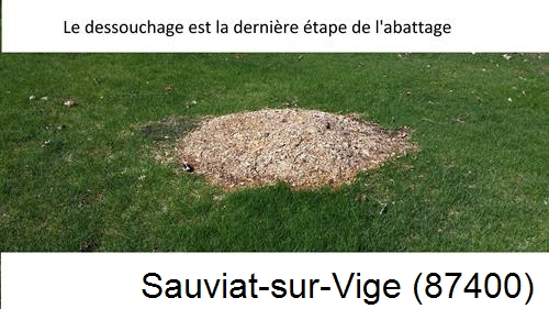 déssouchage d'arbres Sauviat-sur-Vige-87400