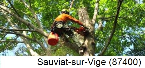 Déssouchage, étêtage d'arbres Sauviat-sur-Vige-87400