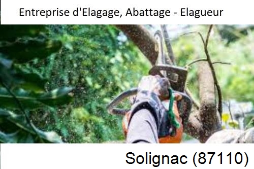 Travaux d'abattage d'arbres à Solignac-87110