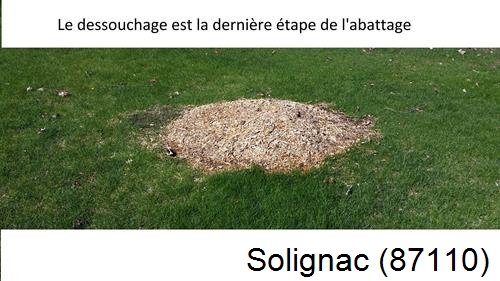 déssouchage d'arbres Solignac-87110