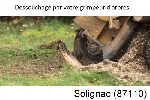 abattage d'arbres à Solignac-87110