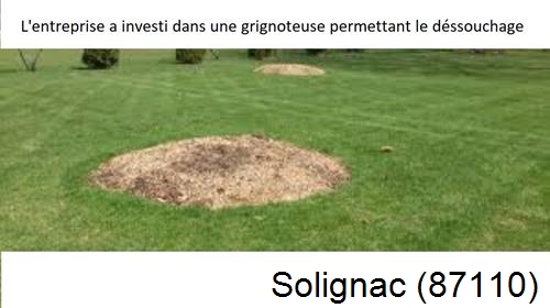Artisan pour déssouchage d'arbres Solignac-87110