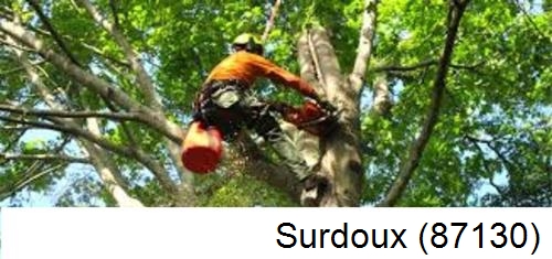 Entreprise du paysage Surdoux-87130