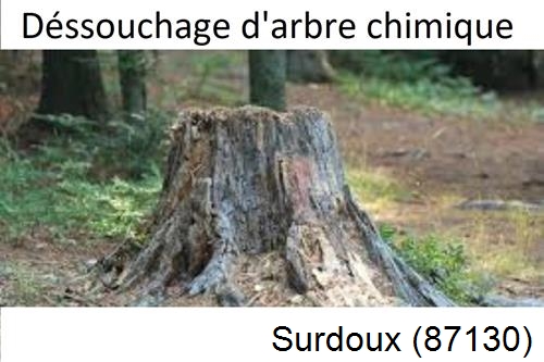 Elagueur déssouchage à Surdoux-87130