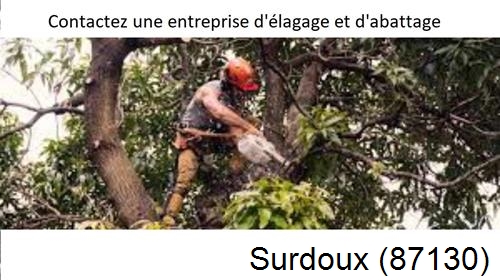 Entreprise d'élagage à Surdoux-87130